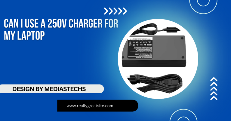 Can I Use A 250v Charger For My Laptop