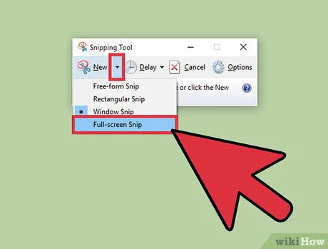 Using the Snipping Tool for Precision Captures