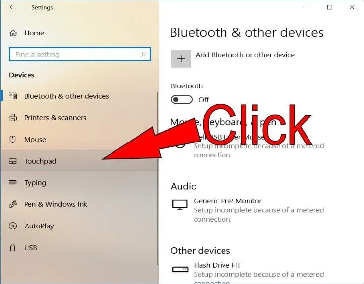 Verify Touchpad Settings: